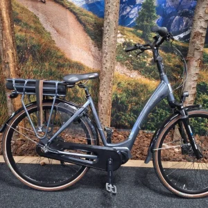 BSP Bsp hermitage-e D57 grijs 50cm 2023